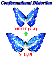 Graphical abstract: Conformational distortion-harnessed singlet fission dynamics in thienoquinoid: rapid generation and subsequent annihilation of multiexciton dark state