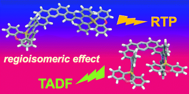 Graphical abstract: The regioisomeric effect on the excited-state fate leading to room-temperature phosphorescence or thermally activated delayed fluorescence in a dibenzophenazine-cored donor–acceptor–donor system