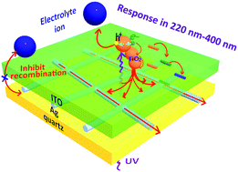 Graphical abstract: Expansion of the response range of photoelectrochemical UV detector using an ITO/Ag-nanowire/quartz UV-visible transparent conductive electrode