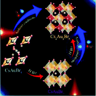 Graphical abstract: Facile strategy to synthesize cesium gold-based bromide perovskites: an integrated experimental and theoretical approach to study temperature-dependent structural and optical properties