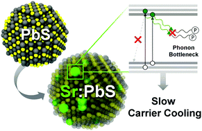 Graphical abstract: Slow excitonic carrier cooling in Sr-doped PbS nanocrystals for hot carrier devices: an integrated experimental and first-principles approach