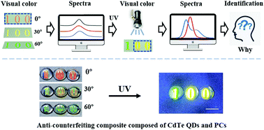 Graphical abstract: A hybrid hydrogel system composed of CdTe quantum dots and photonic crystals for optical anti-counterfeiting and information encoding–decoding