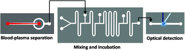 Graphical abstract: Microfluidics-based rapid measurement of nitrite in human blood plasma