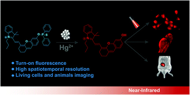 Graphical abstract: An activatable near-infrared hemicyanine-based probe for selective detection and imaging of Hg2+ in living cells and animals