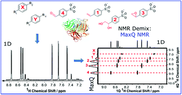 Graphical abstract: 2D and 3D maximum-quantum NMR and diffusion spectroscopy for the characterization of enzymatic reaction mixtures