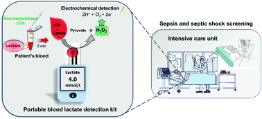 Graphical abstract: A portable blood lactate sensor with a non-immobilized enzyme for early sepsis diagnosis