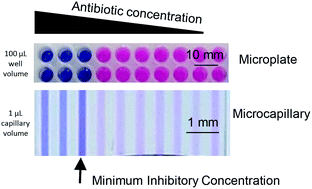 Graphical abstract: Miniaturised broth microdilution for simplified antibiotic susceptibility testing of Gram negative clinical isolates using microcapillary devices
