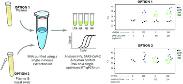Graphical abstract: Simultaneous monitoring of HIV viral load and screening of SARS-CoV-2 employing a low-cost RT-qPCR test workflow