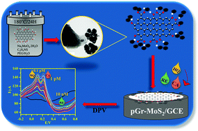 Graphical abstract: Picomolar level electrochemical detection of hydroquinone, catechol and resorcinol simultaneously using a MoS2 nano-flower decorated graphene