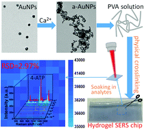 Graphical abstract: Hybridizing aggregated gold nanoparticles with a hydrogel to prepare a flexible SERS chip for detecting organophosphorus pesticides