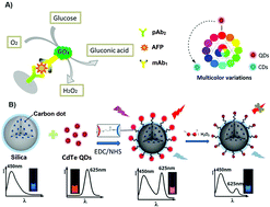 Graphical abstract: Ratiometric fluorescence enzyme-linked immunosorbent assay based on carbon dots@SiO2@CdTe quantum dots with dual functionalities for alpha-fetoprotein