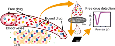 Graphical abstract: A rapid and simple electrochemical detection of the free drug concentration in human serum using boron-doped diamond electrodes
