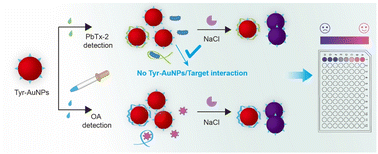 Graphical abstract: A robust colorimetric aptasensor for the label-free detection of marine toxins based on tyrosine-capped gold nanoparticles