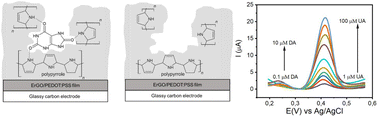 Graphical abstract: Selective non-enzymatic uric acid sensing in the presence of dopamine: electropolymerized poly-pyrrole modified with a reduced graphene oxide/PEDOT:PSS composite