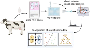 Graphical abstract: Metabolic alterations in dairy cattle with lameness revealed by untargeted metabolomics of dried milk spots using direct infusion-tandem mass spectrometry and the triangulation of multiple machine learning models