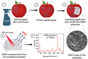 Graphical abstract: Plasmonic 3-D wrinkled polymeric shrink film-based SERS substrates for pesticide detection on real-world surfaces