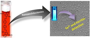 Graphical abstract: Nanoarchitectonics of Congo red dye to biocompatible fluorescent carbon dots for highly sensitive Fe3+ and ferritin detection