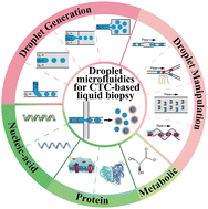 Graphical abstract: Droplet microfluidics for CTC-based liquid biopsy: a review