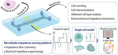 Graphical abstract: Concepts, electrode configuration, characterization, and data analytics of electric and electrochemical microfluidic platforms: a review