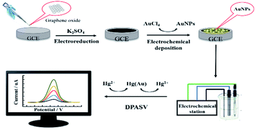 Graphical abstract: Ultrasensitive detection of mercury(ii) ions on a hybrid film of a graphene and gold nanoparticle-modified electrode