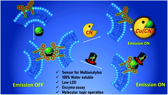 Graphical abstract: Multi analyte sensing of amphiphilic tridentate bis(benzimidazolyl)pyridine incorporated in liposomes and potential application in enzyme assay