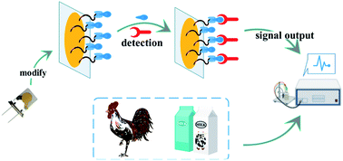 Graphical abstract: Construction of a piezoelectric immunosensor for ultra-sensitive and highly selective detection of ribavirin in animal-derived foods