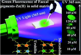 Graphical abstract: Rapid and sensitive naked eye detection of faecal pigments using their enhanced solid-state green fluorescence on a zinc acetate substrate