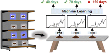 Graphical abstract: Characterization and predictive modeling potential of aging time of roasted coffee using infrared spectroscopy