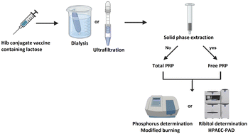 Graphical abstract: High performance anion exchange chromatographic and colorimetric methods for quality assessment of total and free polysaccharide content in Haemophilus influenzae type b conjugate vaccine containing lactose