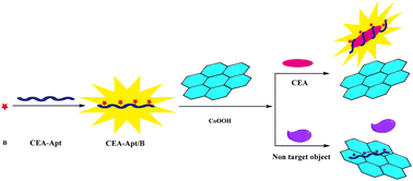 Graphical abstract: A label-free fluorescent aptasensor based on the AIE effect and CoOOH for ultrasensitive determination of carcinoembryonic antigen