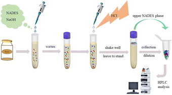 Graphical abstract: Determination of quinolone antibiotics in honey by pH-induced natural deep eutectic solvent combined with vortex-assisted dispersive liquid–liquid microextraction