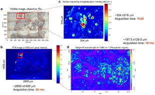 Graphical abstract: Exploration of utility of combined optical photothermal infrared and Raman imaging for investigating the chemical composition of microcalcifications in breast cancer