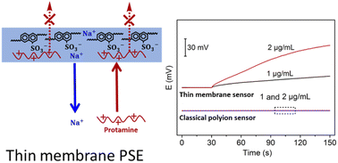 Graphical abstract: Thin membrane-based potentiometric sensors for sensitive detection of polyions