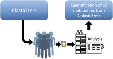 Graphical abstract: Simultaneous and sensitive determination of the main metabolites of the plasticizer DEHP and its substitutes DEHTP, DINCH and TEHTM in human urine by coupling of on-line SPE, UHPLC and tandem mass spectrometry