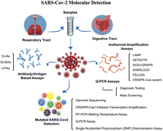 Graphical abstract: Current strategies for SARS-CoV-2 molecular detection
