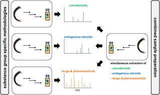 Graphical abstract: Single sample preparation for the simultaneous extraction of drugs, pharmaceuticals, cannabinoids and endogenous steroids in hair