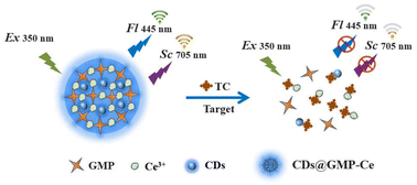 Graphical abstract: A fluorescent and scattering dual-mode probe based on a carbon dot@cerium–guanosine monophosphate coordination polymer network for tetracycline detection
