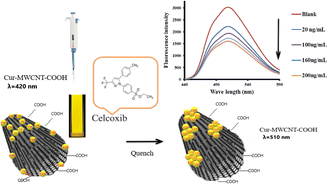 Graphical abstract: A nano curcumin–multi-walled carbon nanotube composite as a fluorescence chemosensor for trace determination of celecoxib in serum samples