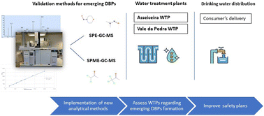 Graphical abstract: Development of multi-residue gas chromatography coupled with mass spectrometry methodologies for the measurement of 15 chemically different disinfection by-products (DBPs) of emerging concern in drinking water from two different Portuguese water treatment plants