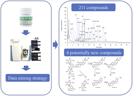 Graphical abstract: Rapid and comprehensive identification of chemical constituents in Mai-Luo-Shu-Tong pill by UHPLC-Q-Orbitrap HRMS combined with a data mining strategy