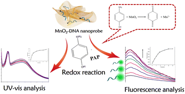 Graphical abstract: MnO2–DNA nanomaterials toward the dual signal detection of P-aminophenol micropollutants
