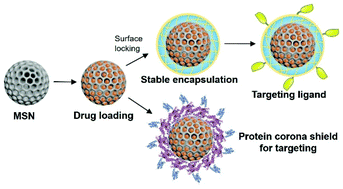 Graphical abstract: Mesoporous silica nanoparticle-supported nanocarriers with enhanced drug loading, encapsulation stability, and targeting efficiency