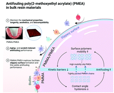 Graphical abstract: Molecular weight tuning optimizes poly(2-methoxyethyl acrylate) dispersion to enhance the aging resistance and anti-fouling behavior of denture base resin