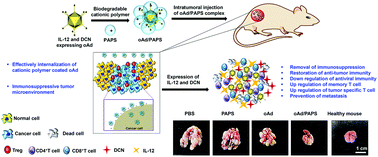Graphical abstract: Bioreducible polymer-mediated delivery of oncolytic adenovirus can attenuate antiviral immune response and concurrently enhance the induction of antitumor immune response to effectively prevent metastasis