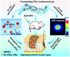 Graphical abstract: In situ self-assembly of polydopamine inside injectable hydrogels: antibacterial activity and photothermal therapy for superbug-infected wound healing