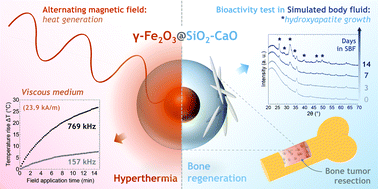 Graphical abstract: Magnetic bioactive glass nano-heterostructures: a deeper insight into magnetic hyperthermia properties in the scope of bone cancer treatment