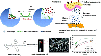 Graphical abstract: Self-assembled di- and tripeptide gels for the passive entrapment and pH-responsive, sustained release of an antidiabetic drug, glimepiride