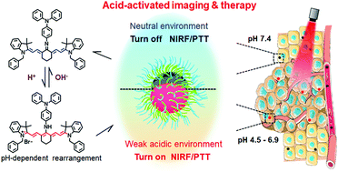 Graphical abstract: A heptamethine cyanine with meso-N-induced rearrangement for acid-activated tumour imaging and photothermal therapy