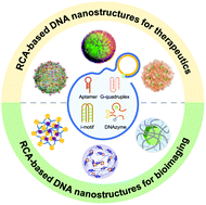 Graphical abstract: Construction of rolling circle amplification-based DNA nanostructures for biomedical applications