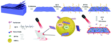Graphical abstract: Functionalized boron nanosheets with near-infrared-triggered photothermal and nitric oxide release activities for efficient antibacterial treatment and wound healing promotion